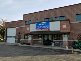 5232 jackson dr, ste 105. Vca Animal Hospital La Mesa Online Off 77