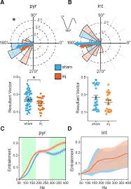 Substation voltage is changed for long distance power transmission. Traumatic Brain Injury Preserves Firing Rates But Disrupts Laminar Oscillatory Coupling And Neuronal Entrainment In Hippocampal Ca1 Eneuro