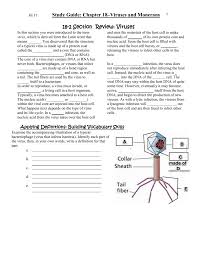 Viruses, viroids, and prions are formidable pathogens in animals and plantsdiseases caused by viral infectionsaffect humans, agricultural crops, and livestock worldwide. Study Guide Viruses And Bact