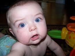 Wyatt Kittrell Obituary (2007