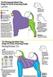 Portuguese Water Dog Grooming Chart Goldenacresdogs Com