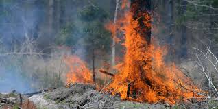 Brunswick County fire 60 percent contained