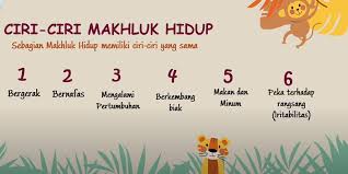 Penyampaian materi yang kurang tepat menjadi. Ciri Ciri Makhluk Hidup Jawaban Soal Tvri 24 Juli 2020 Sd Halaman All Kompas Com