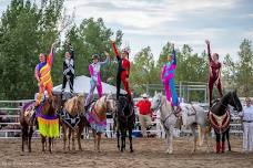 White Division Specialty Teams Show — Westernaires