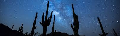 Jeff pavlat from the austin cactus & succulent society. 35 Ways To Learn Sap