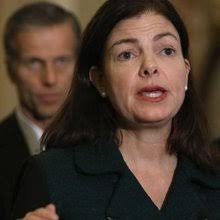 Patrick Cornell's Profile