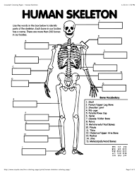 Free Human Anatomy Diagram Print Outs Electrical Drawing Wiring Skeletal System Worksheet Human Body Worksheets Body Systems Worksheets
