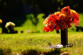 Thanks to this dense florist network it is. How Much Does It Cost To Be Buried In A Cemetery Everplans
