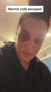 Crab Escape in Kitchen