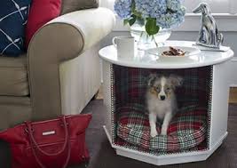 You Can Make Your Side Table Into A Dog House Pretty Easily Just Look How Happy This Little Doggy Is In H Coffee Table Dog Bed Cool Dog Beds Luxury