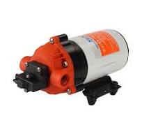 Amazon.com: SEAFLO 12V 1.5 GPM 200 PSI 31-Series DC ...