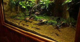 6ft Paludarium Journal Pictures Vivarium Reptile House Moss Garden