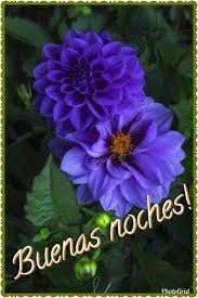 Pin En Buenas Noches