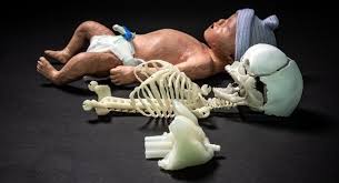 Our research indicates the feasibility of printing bone, muscle, and. This 3d Printed Baby Dummy Could Improve Resuscitation Training Healthcare In Europe Com