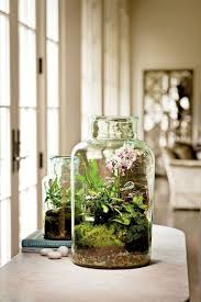 Diy Deco Facile Diy Deco Facile Faire Un Terrarium Comment Faire Un Terrarium
