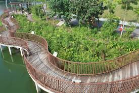 Subzone of hougang planning area in singapore. Punggol Waterway And Lorong Halus Wetland Follow My Wanders