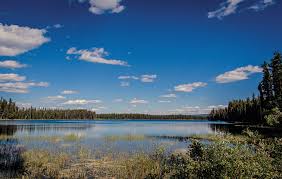 Best Camping In And Near Pigeon Lake Provincial Park