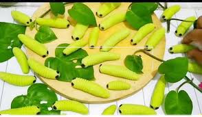 Resep kue ulat sagu keju renyah sederhana spesial lembut dan empuk asli enak untuk lebaran hari raya idul fitri 2020 trend kue kering masa jadi kue ini bisa kita sebut kue kering modern. Cara Membuat Kue Ulat Daun Dengan 3 Bahan Tak Hanya Enak Tapi Juga Cantik Portal Jember