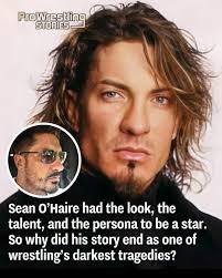 Pro Wrestling Stories