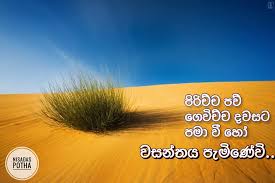 See more ideas about poems, sad love quotes, sad love. à¶± à·ƒà¶¯ à·ƒ à¶´ à¶­ Nisadas Potha Home Facebook