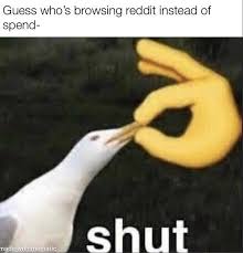 Open your meme live find ' scan qr code '. Shut Seagull Know Your Meme