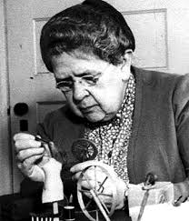 Borealis (New Dimensions)