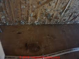 Mold spores travel in the air, so spores can find their way inside homes and other buildings. Photographs Of Mold Growth On Different Materials Mold On Baskets Mold On Woven Goods Mold On Bathroom Controls Mold On Bathroom Surfaces Mold On Bedding Sheets Pillowcases Moldy Books Mold Regrowth On