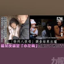 徐州八孩母」調查結果出爐楊某俠就是「小花梅」 豐縣17人被問責- 澳門力報官網