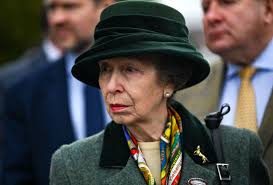 A lesson in style from Princess Anne! Royal shows off how to wear a brooch  in three different ways at Cheltenham Festival