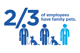 I had several reimbursement requests with them, and each time the. Benefits Nationwide Pet Insurance