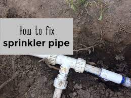 Check spelling or type a new query. Pin On Gardening
