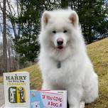 Read to Blitzen
