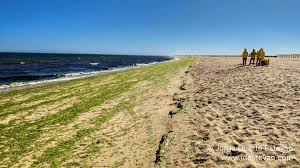 Maybe you would like to learn more about one of these? Melhores Praias De Tavira Onde Ficam E Como Chegar Lugares Incertos