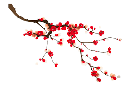 Resultat De Recherche D Images Pour Dessin Asiatique Asiatique Cerisier Japonais Fleur De Cerisier