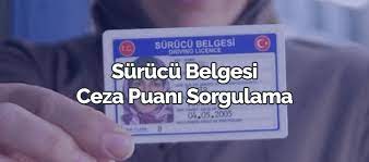 surucu belgesi ceza puani sorgulama surucu belgesi