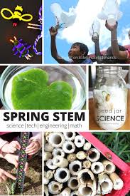All of the stem activities are linked to free blog posts. Spring Stem Activities For Kids Little Bins For Little Hands