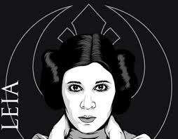 Princess Leia Organa Projects :: Photos, videos, logos, illustrations and  branding :: Behance