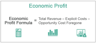 Some companies specialize in one or other of these areas, but others (referred to as 'composites') operate in both sectors. Economic Profit Definition Interpretation Limitations