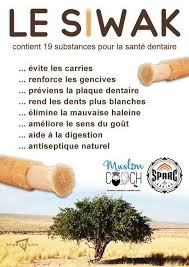 Bienfaits Du Siwak Islam Health Ahadith