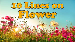Maybe you would like to learn more about one of these? 10 Lines On Flower In English For Children And Students