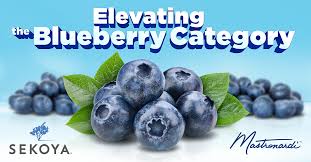 Mastronardi Produce® Joins SEKOYA® Blueberry Platform; Paul Mastronardi and  Mark David Comment