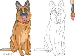 Ausmalbilder Mit Hunden Hunde