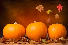Shop our online heirloom seed catalog or request a catalog and shop from home. Three Pumpkins With Fall Leaves With Seasonal Background Rizzo S Malabar Inn