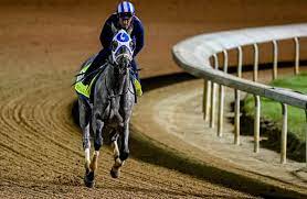 Latest lines for top contenders and dark horses. Kentucky Derby 2021 Guide Odds Picks Long Shots