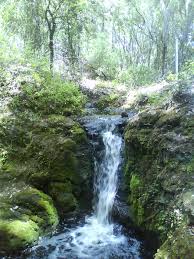 water resource: wolf branch sink