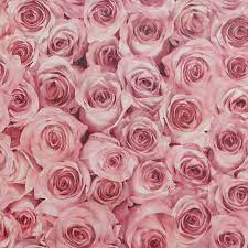 After my second visit to whiskey rose i can honestly say the food was fantastic. Arthouse Rose Wall Raspberry Vinyl Wallpaper 297108 The Home Depot