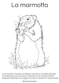 Disegni Di Animali Che Vanno In Letargo Da Colorare Disegnare Animali Disegni Da Colorare Animali