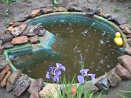 2021 arizona lake and pond symposium. Kiddie Pool Turned Into Garden Pond Kiddie Pool Gardening For Kids Pool