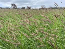 Profile for Trott Family Grazing