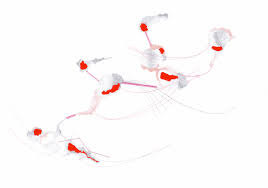 Pour les connaisseurs, centro di membro dell'unione degli artisti plastici della romania dal 1994. Sbagliando Si Inventa Gianni Rodari Nel Paese Degli Artisti